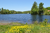 Stoddard, NH - Highland Lake - Summer